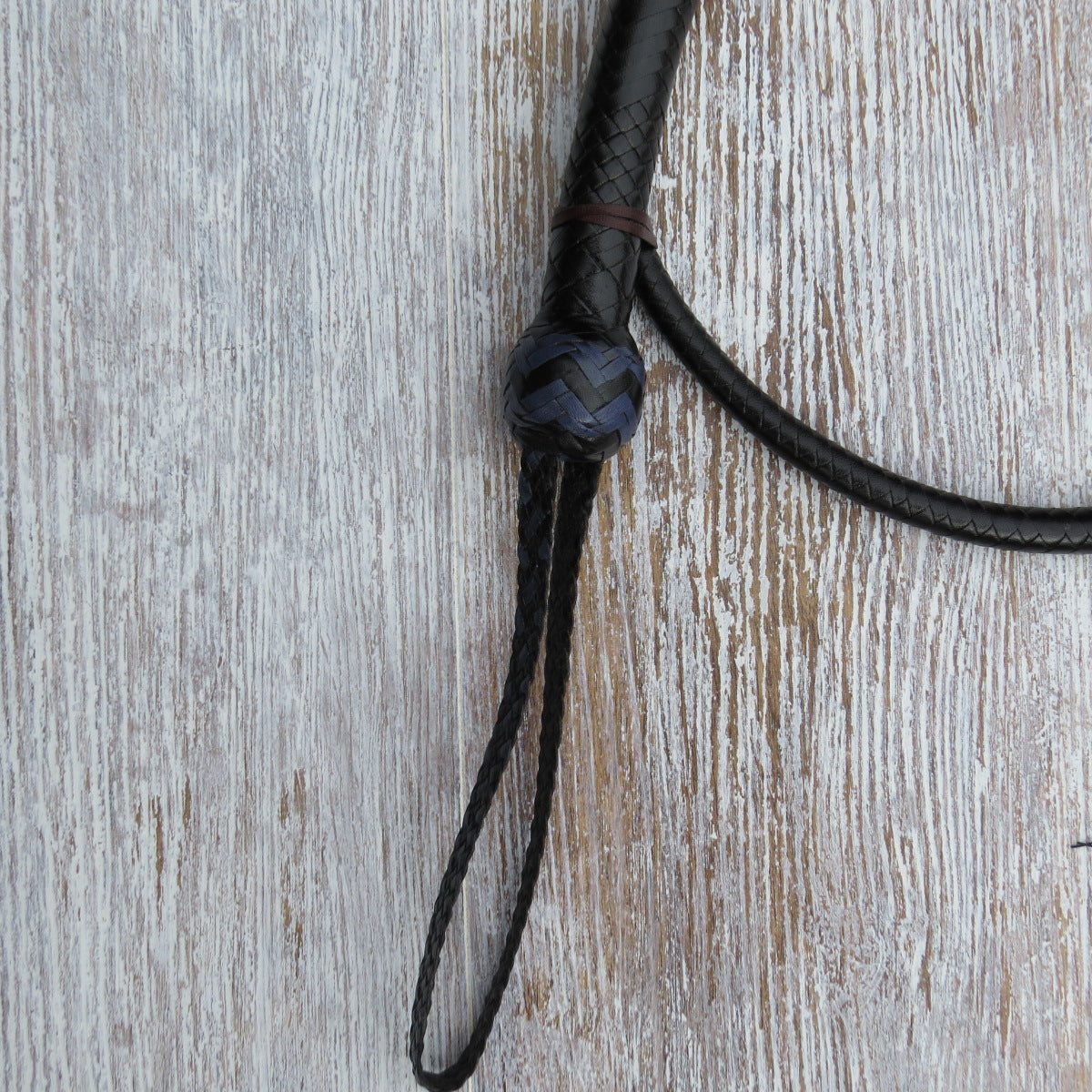 4ft Black 16plait Signal Whip with Blue Highlights